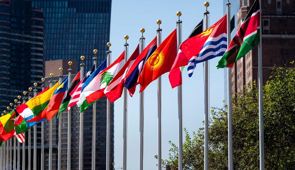 Building a Global Order: The Rise of Modern International Organizations